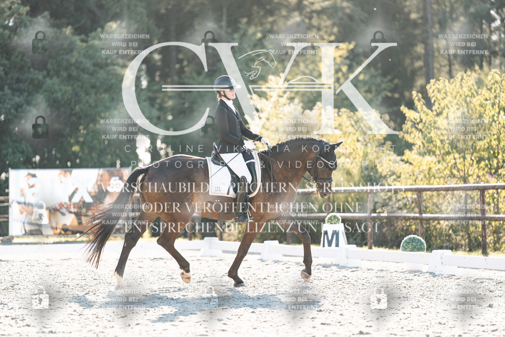 CK907126 | Turnierfotografie Pferdefotografie Trier Rheinland-Pfalz Pferdesport Reitsport Tierfotografie Sportfotografie Pferdevideo Pferdevideografie Equestrianvideography equestrianphotography  - Realisiert mit Pictrs.com