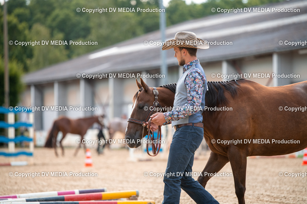 EWP_5531 | dv-media-shop - Realisiert mit Pictrs.com