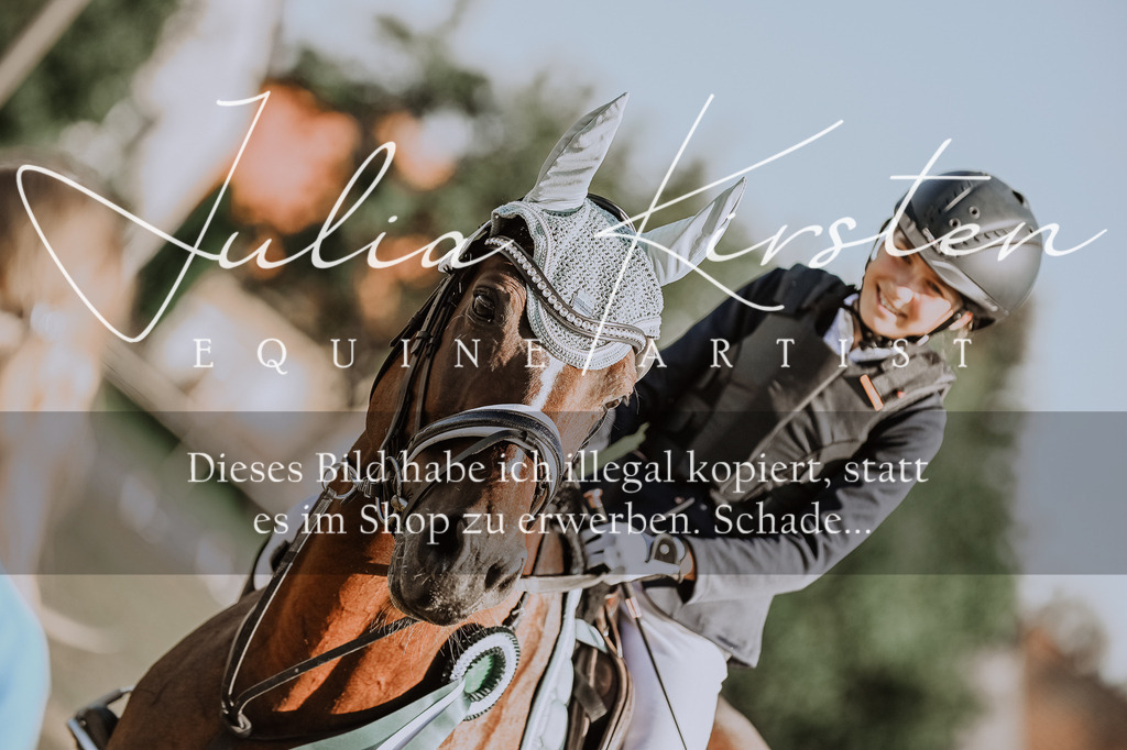 DSC_9525 | Pferde- und Turnierfotografie in Westsachsen. Pferdeportraits, Auftragszeichnungen und intuitive Kunst.