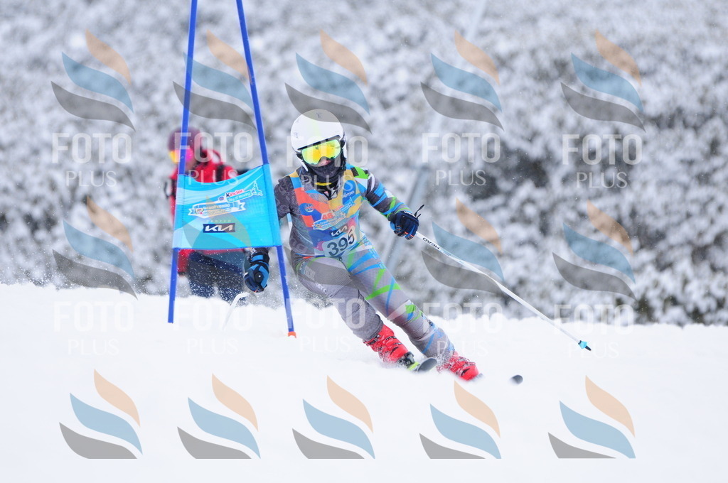 C4180 | holidayphoto