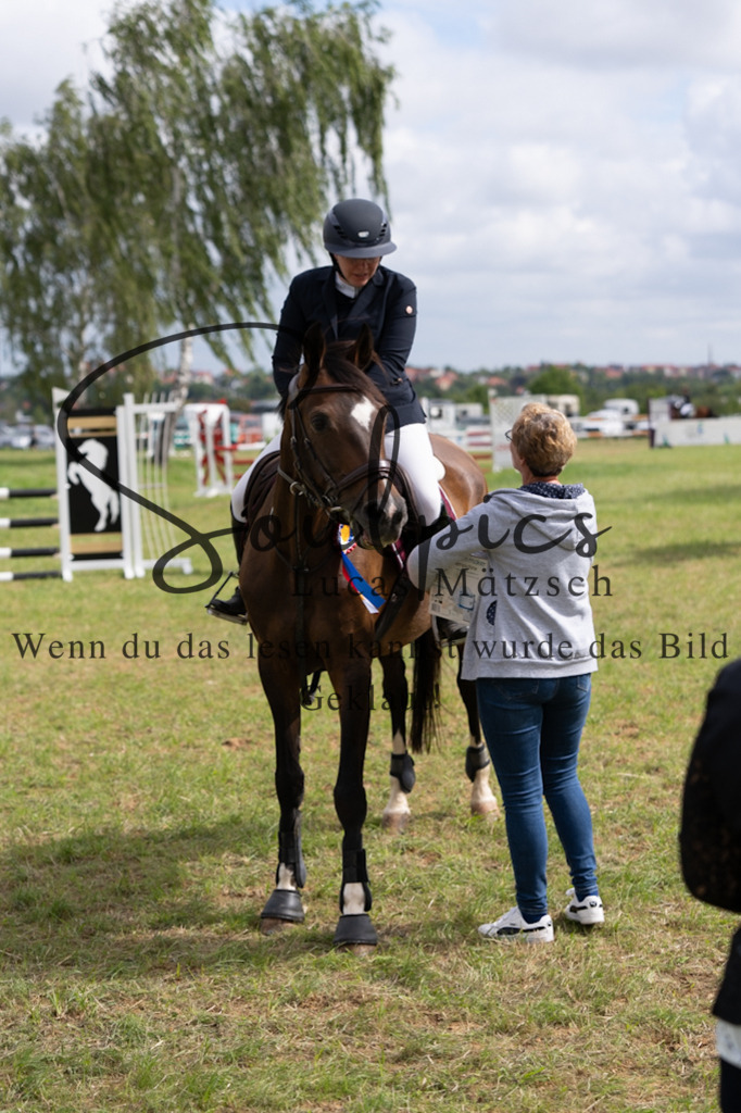 A7V05408 | Pferdefotograf