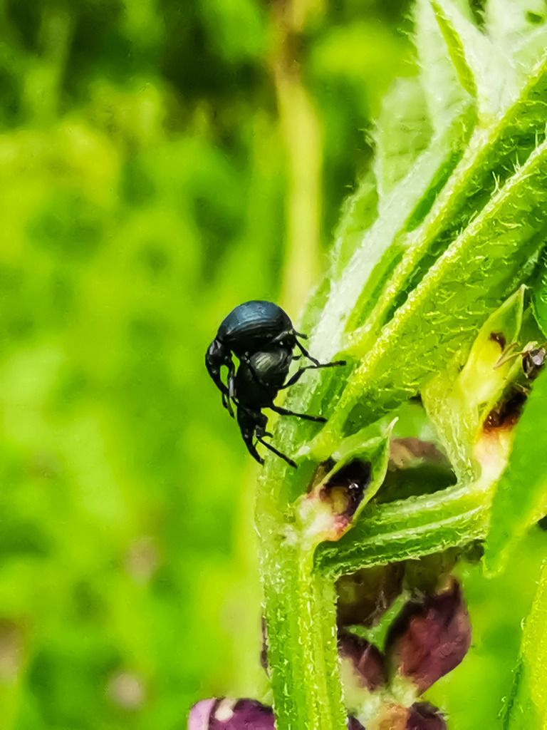 PSX_20230530_222550 | mtkfoto_ - Realisiert mit Pictrs.com