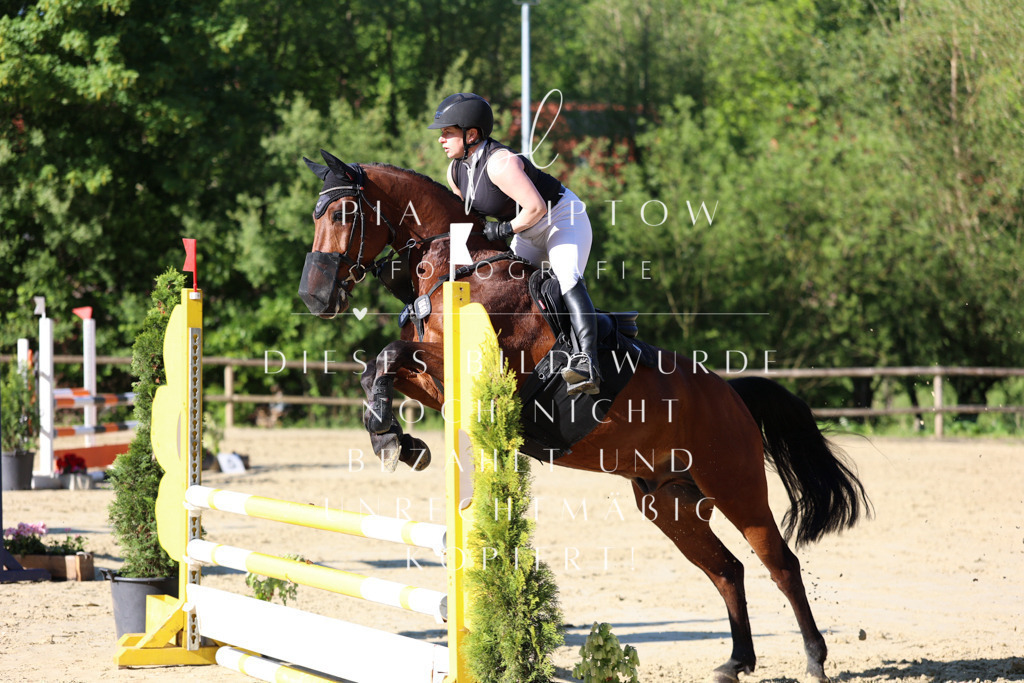 IMGS5632 | pl-fotografie