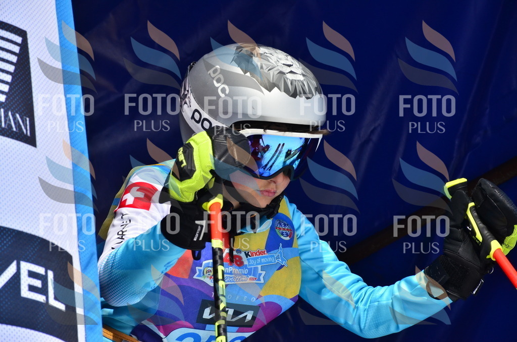 _ELE1905 | holidayphoto