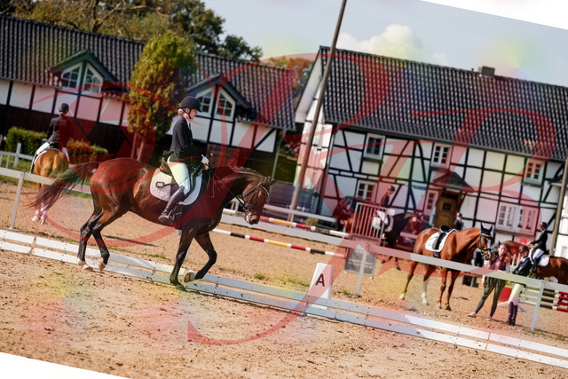2026_10_03_Siefer-Hof_125533_Z63_62008400 | Professionelle Reitsport-, Turnier- und Eventfotografie von Robert Broda. Galerien mit ausgewählten und bearbeiteten Bildern direkt online ansehen und bestellen.