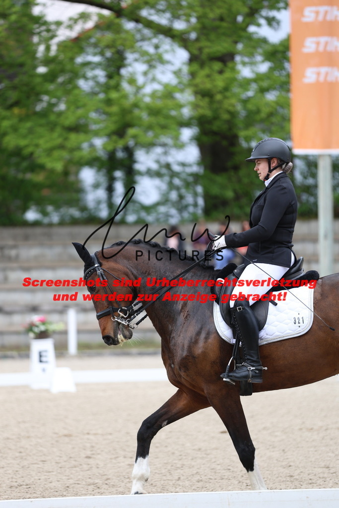 A40A4186 | lmwpictures - Realisiert mit Pictrs.com