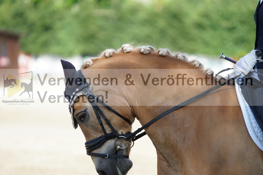 DSC02972 | equestrian-live-com