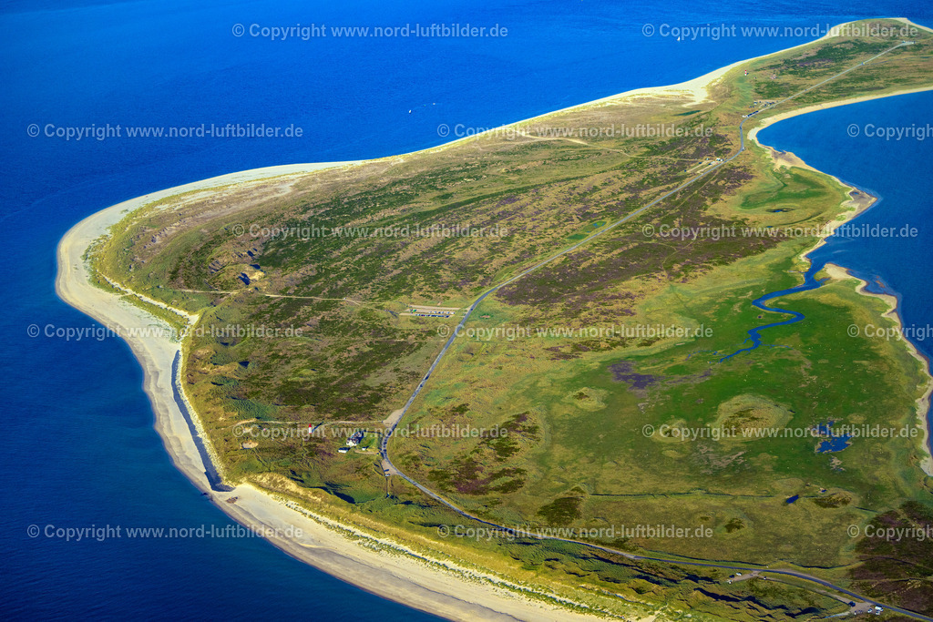 Sylt_List_Ellenbogen_Sonnunutergang_ELS_7198130825 | LIST 21.06.2025 Küsten- Landschaft der Nordsee- Insel Sylt im Ortsteil Ellenbogen in List im Bundesland Schleswig-Holstein, Deutschland. // Coastal landscape of the North Sea island Sylt in the district Ellenbogen in List in the state of Schleswig-Holstein, Germany. Foto: Martin Elsen