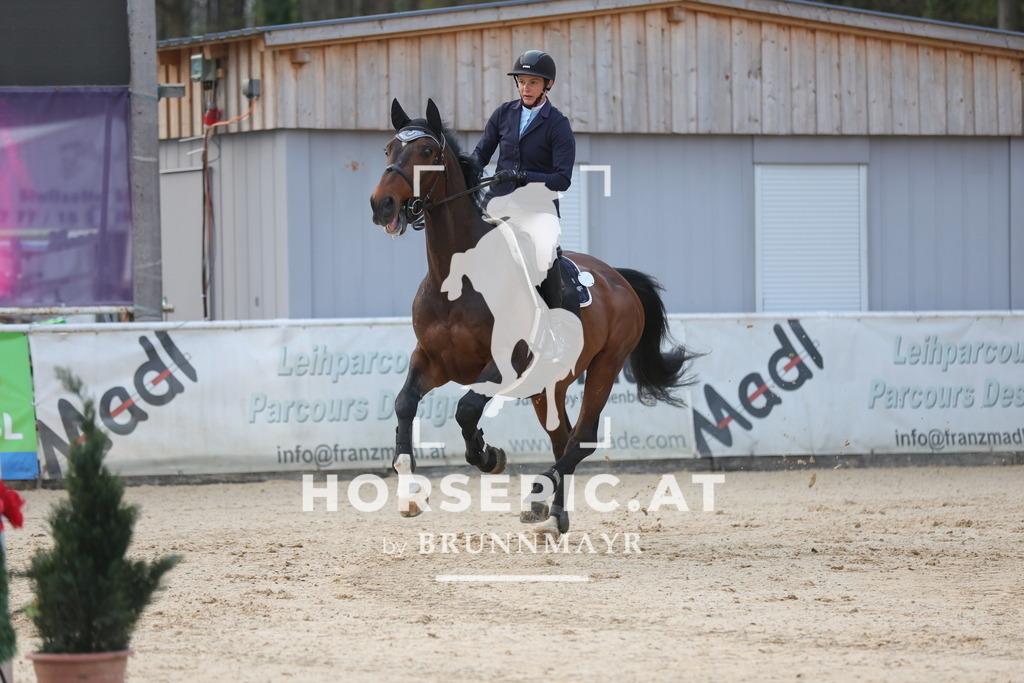 0P6A2868 | Willkommen bei Brunnmayr - Design & Fotografie – Ihrem Spezialisten für Reitturniere und Pferdeveranstaltungen in Oberösterreich, Salzburg und Bayern! Seit über 17 Jahren sind wir leidenschaftlich dabei.