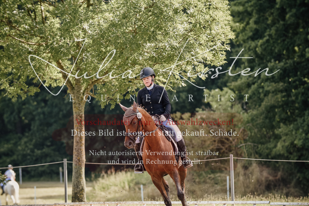 DSC_9286 | Pferde- und Turnierfotografie in Westsachsen. Pferdeportraits, Auftragszeichnungen und intuitive Kunst.