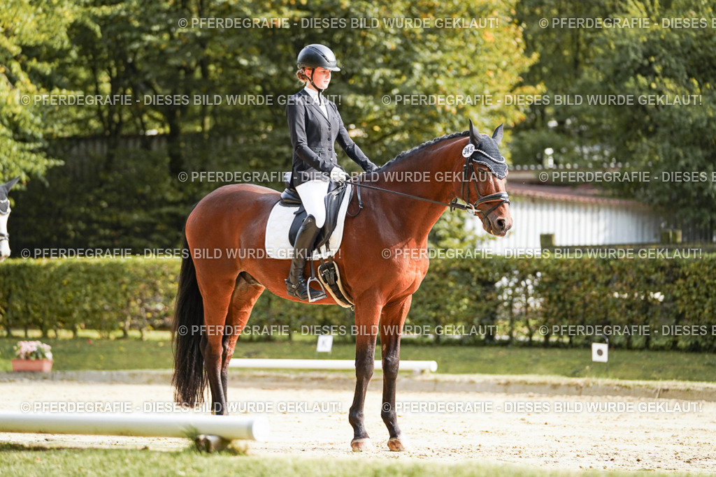 DSC04179 | Pferdegrafie