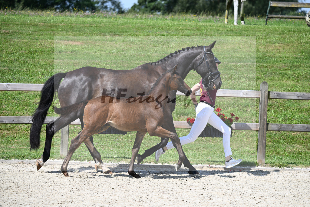 Escaneno x Dante Weltino_HF_Ruth_29240291 | hf-fotografie - Realisiert mit Pictrs.com
