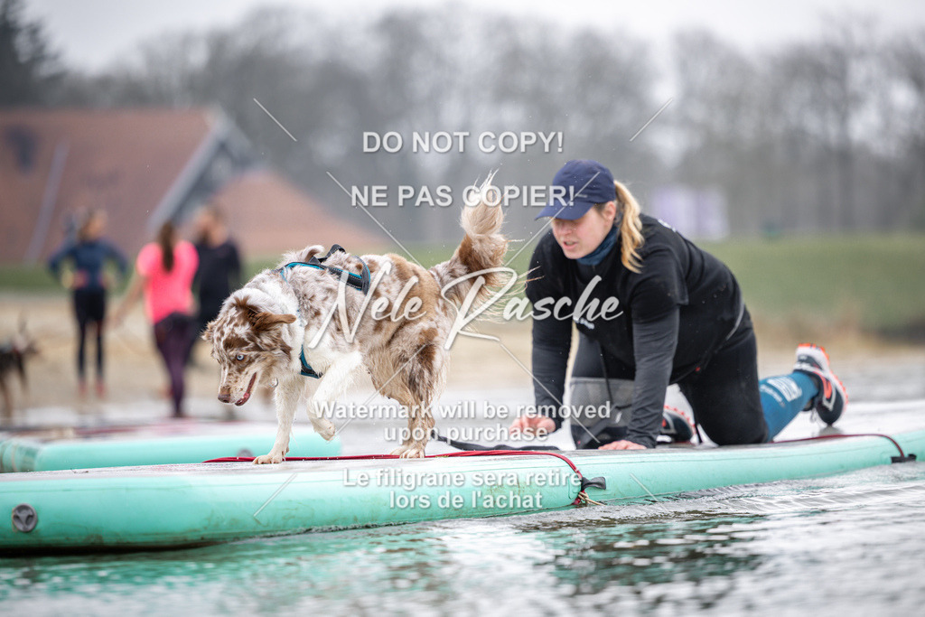 nelerasche_Hulsbeek_Sa1100-1130_289 | nelerasche