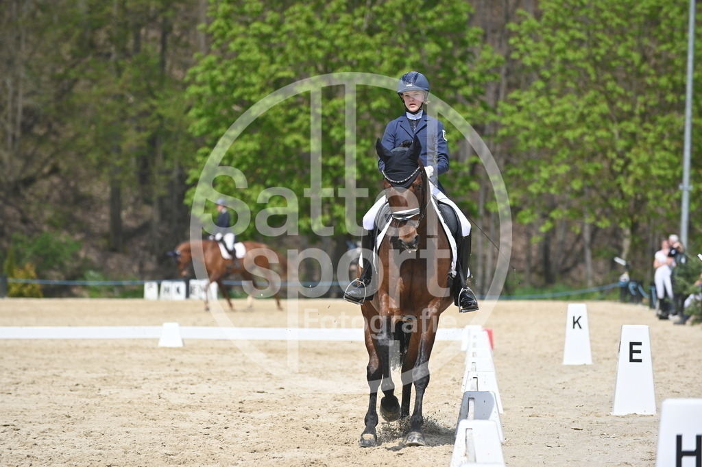 DSC_2180 | sattelsport - Realisiert mit Pictrs.com