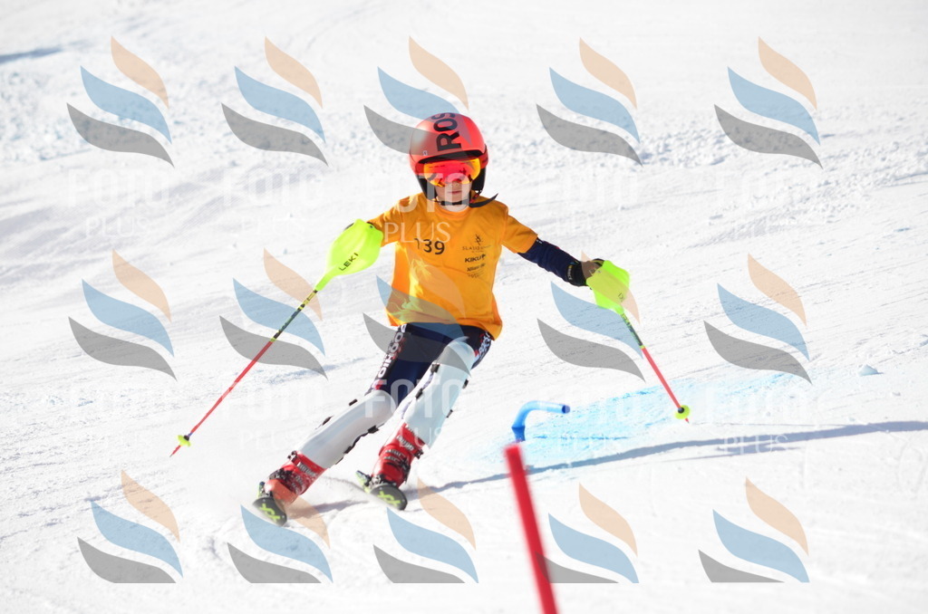 C6518 | holidayphoto