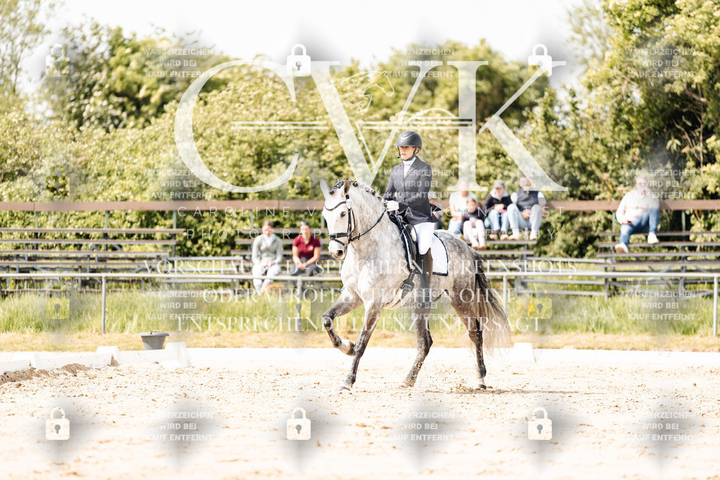 CK901622 | Turnierfotografie Pferdefotografie Trier Rheinland-Pfalz Pferdesport Reitsport Tierfotografie Sportfotografie Pferdevideo Pferdevideografie Equestrianvideography equestrianphotography  - Realisiert mit Pictrs.com