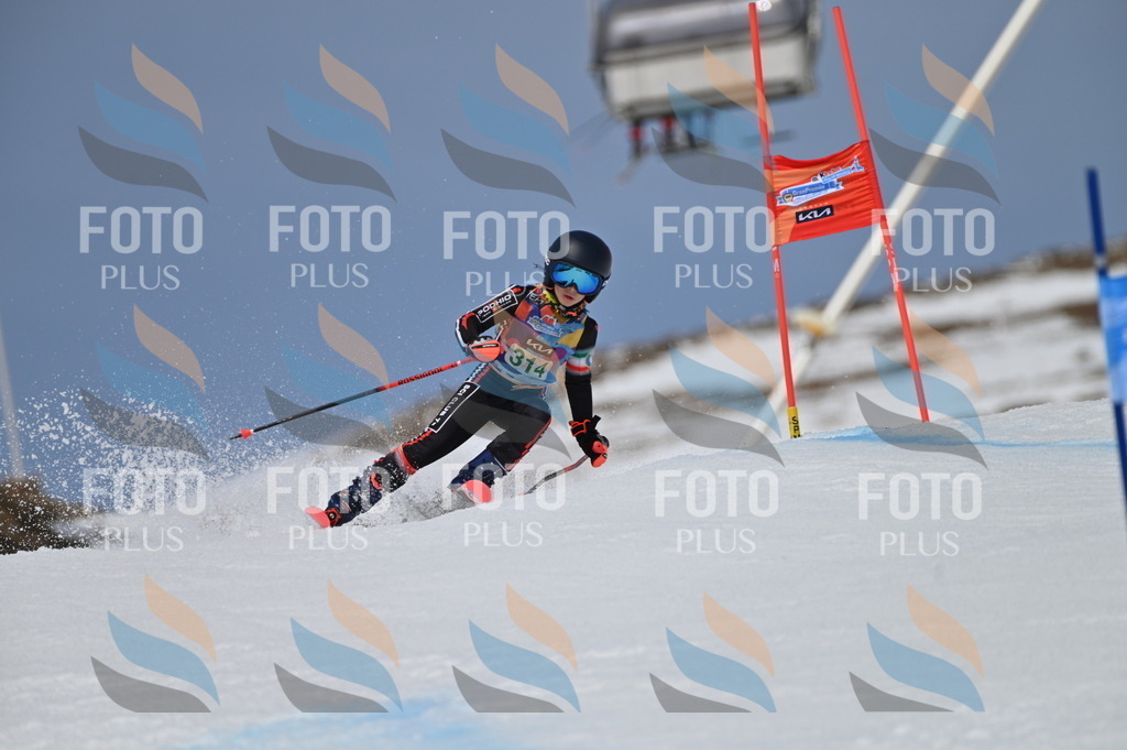 BGV_6213 | holidayphoto