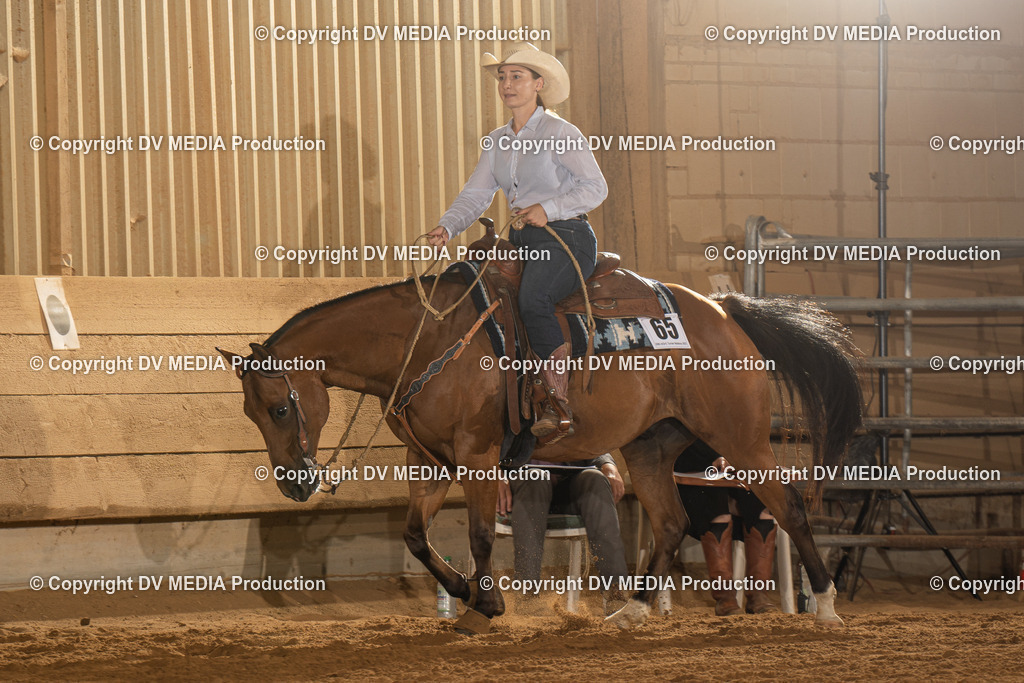 NID01350 | dv-media-shop - Realisiert mit Pictrs.com