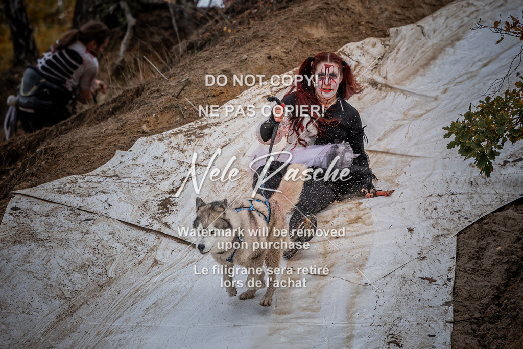 nelerasche_Creepy2025_So1130-1200_439 | nelerasche