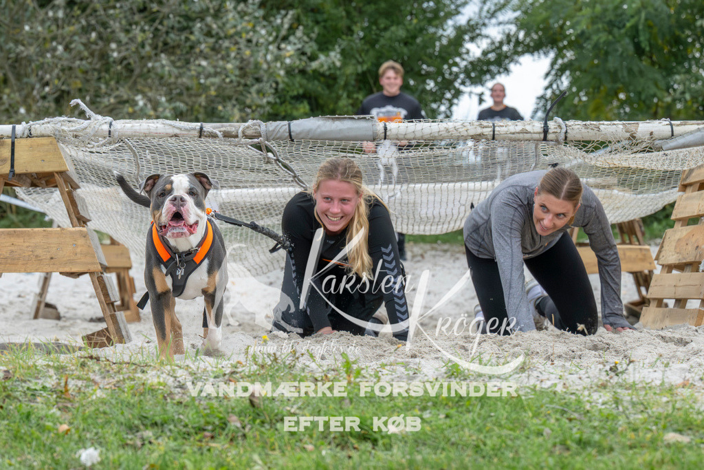 1036_ZZ94455 | kk-dogfotos