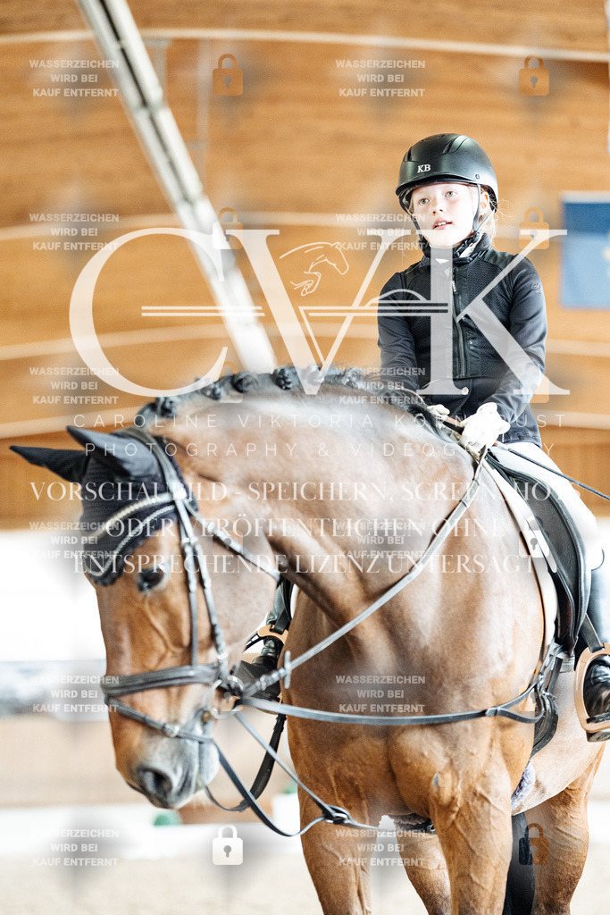 CK900880 | Turnierfotografie Pferdefotografie Trier Rheinland-Pfalz Pferdesport Reitsport Tierfotografie Sportfotografie Pferdevideo Pferdevideografie Equestrianvideography equestrianphotography  - Realisiert mit Pictrs.com