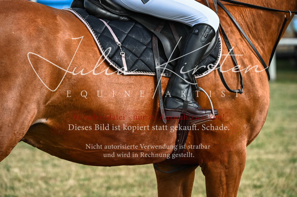 DSC_7945 | Pferde- und Turnierfotografie in Westsachsen. Pferdeportraits, Auftragszeichnungen und intuitive Kunst.