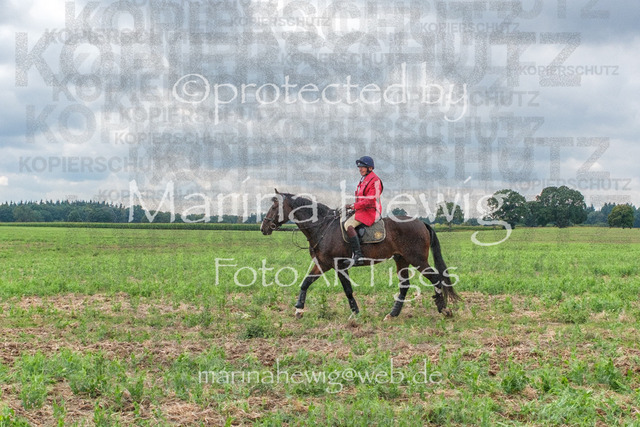 Jagd Perdoel_MarinaHewigDSCF3803 | Fotografie, FotoArt, PferdesportArt, Pferdesportfotografie, Landschaftsfotografie, Reisefotografie, Reise, Pferde - Realisiert mit Pictrs.com