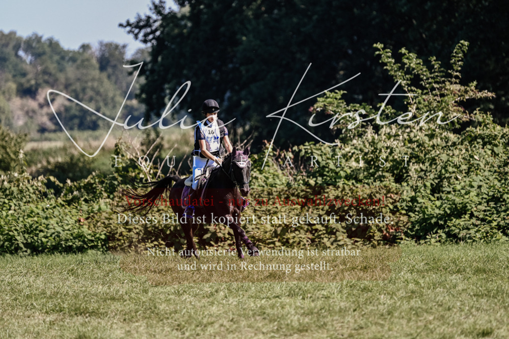 DSC_1950 | Pferde- und Turnierfotografie in Westsachsen. Pferdeportraits, Auftragszeichnungen und intuitive Kunst.