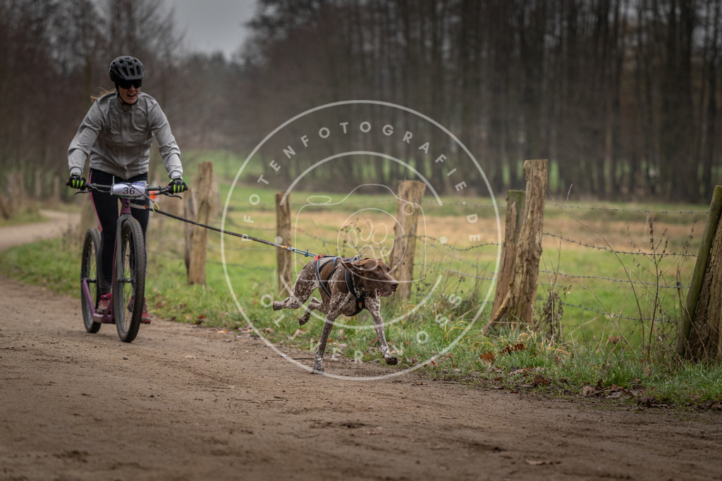 Pfotenfotografie_DV3A2430 | Hundefotografie, Tierfotograf, Pfotenfotografie, Fotoshooting Hund, Hunde Portrait, Hundesport, Hundeportraits, Heideshooting, Hunde, Sportfotograf, Hundefotograf, Turnierhundsport, THS,  - Realisiert mit Pictrs.com