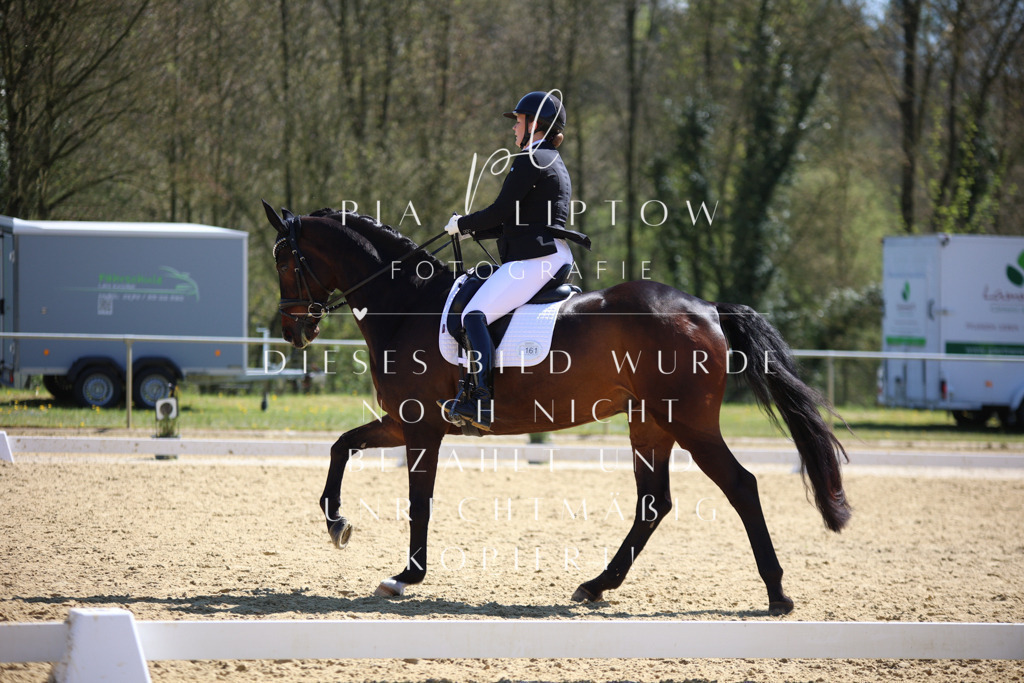 IMGT7525 | pl-fotografie