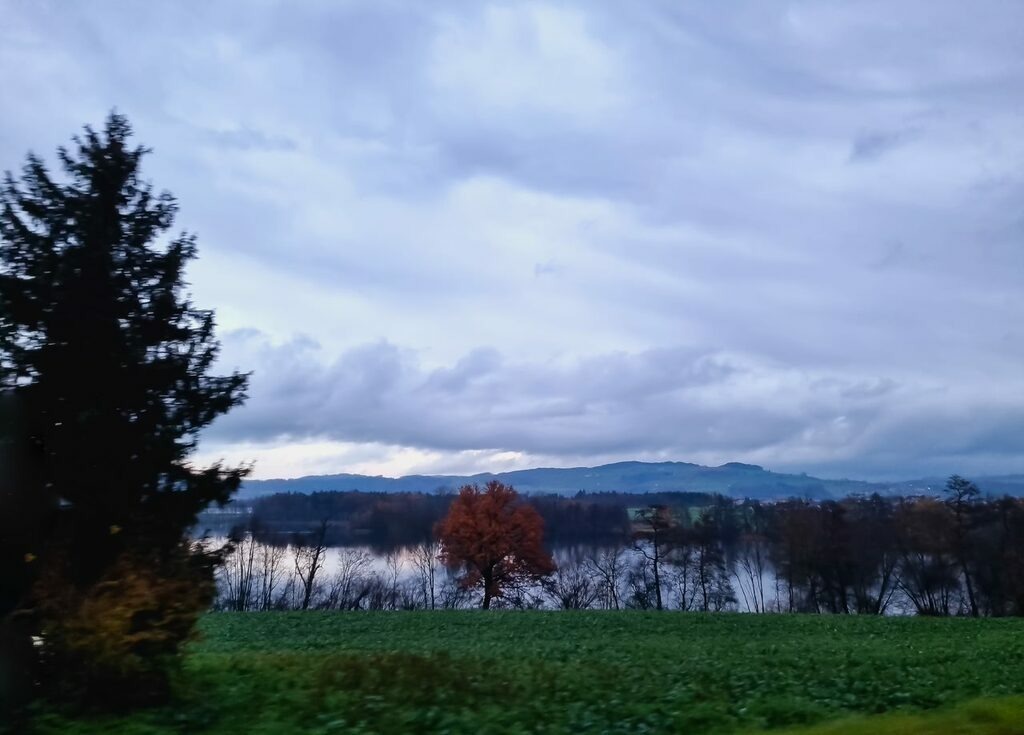 PSX_20221125_231002 | mtkfoto_ - Realisiert mit Pictrs.com