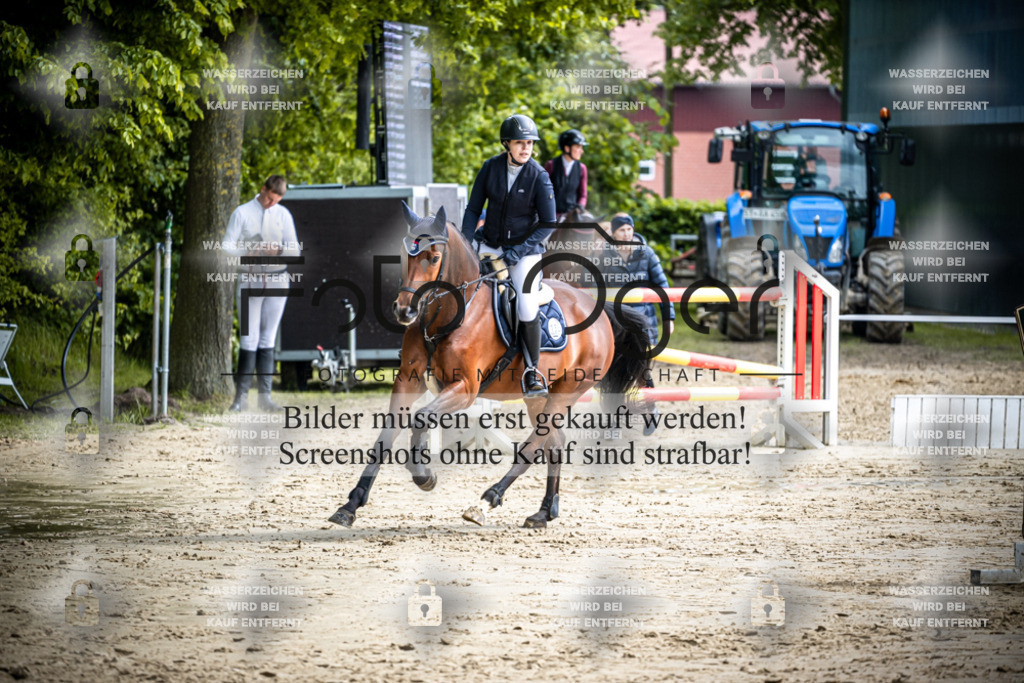 DOS_1206 | Reitturnier Lüdinghausen - Realisiert mit Pictrs.com