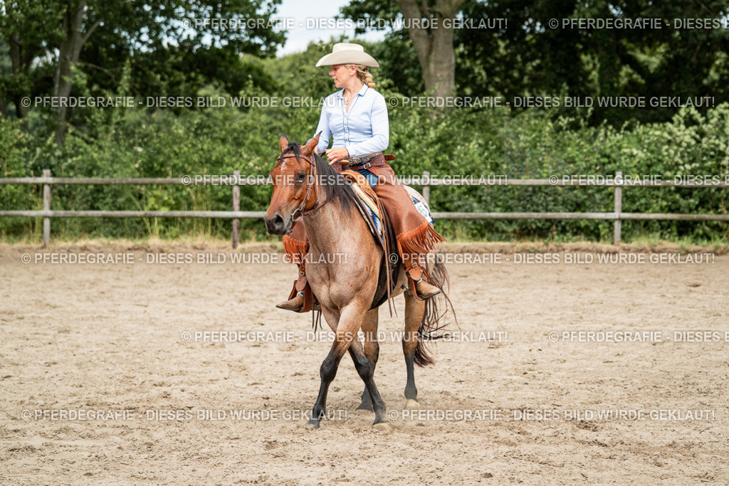 DSC01807 | Pferdegrafie