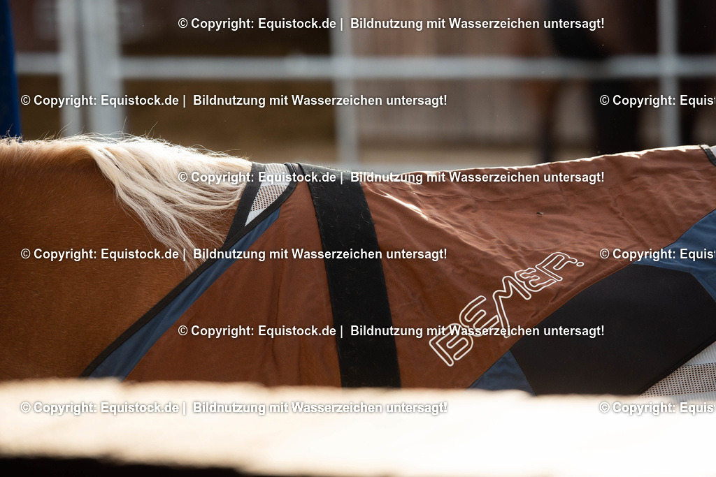 20200928_Bemer_Decke_0003 | equistock
