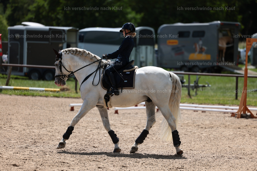 KlasseE_Stoibphotography_CAM22576.JPG | working equitationturnier fotograf videograf stoibphotography marixx film working equitation deutschland reitsport turnierfotografie eventfotografie equestrian events