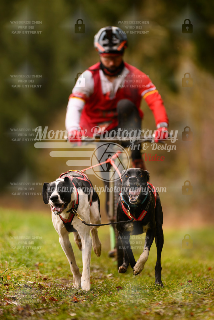 MompixPhotography_2SSTSSBW_2025_SO_Scooter-71 | PayLife