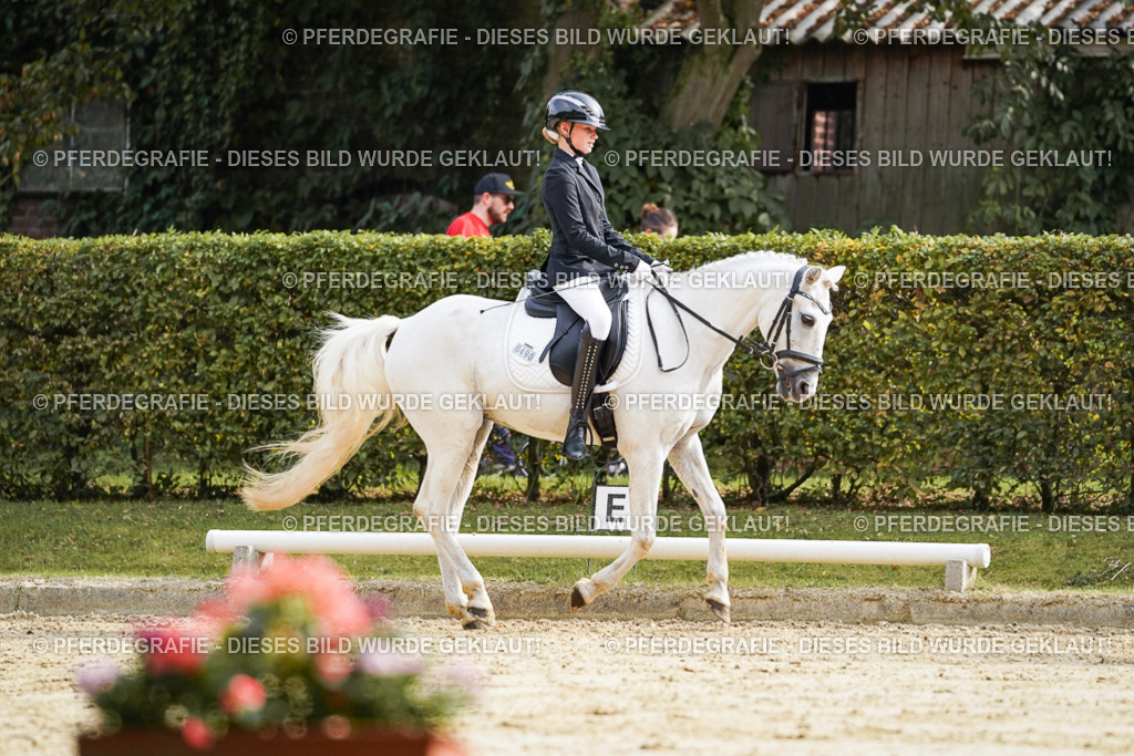 DSC04646 | Pferdegrafie