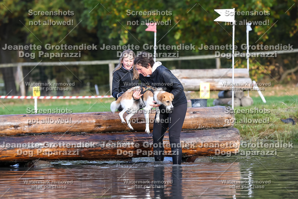 Dog Paparazzi - Strongdog 10-25-8294 | Dog Paparazzi Jeanette Grottendiek Fotografie & Videografie - Realisiert mit Pictrs.com