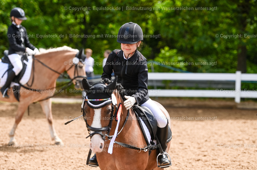20230716_10-3_Reiter-WB Schritt - Trab - Galopp_0228 | equistock