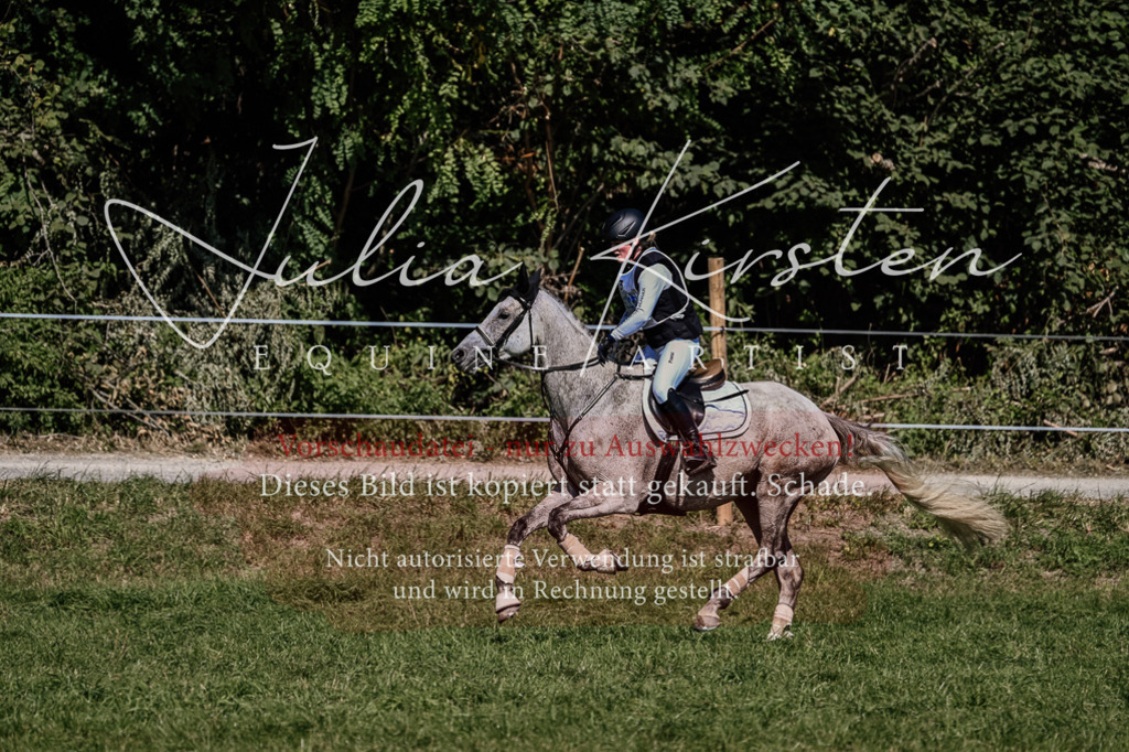DSC_1393 | Pferde- und Turnierfotografie in Westsachsen. Pferdeportraits, Auftragszeichnungen und intuitive Kunst.