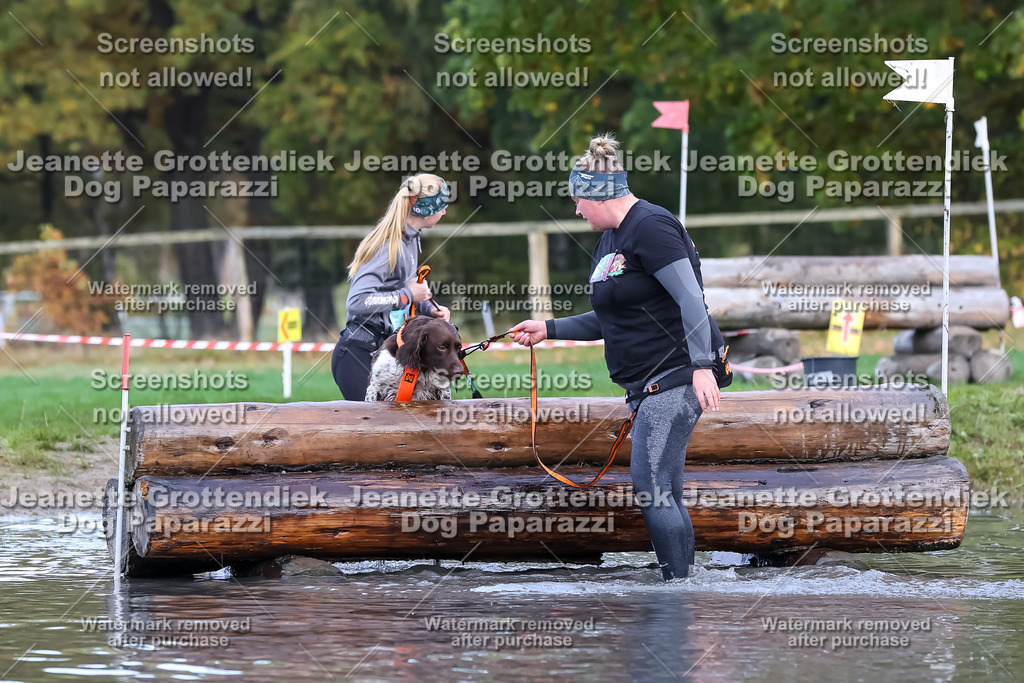 Dog Paparazzi - Strongdog 10-25-6699 | Dog Paparazzi Jeanette Grottendiek Fotografie & Videografie - Realisiert mit Pictrs.com