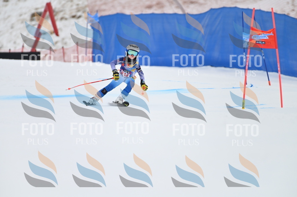 BGV_2565 | holidayphoto