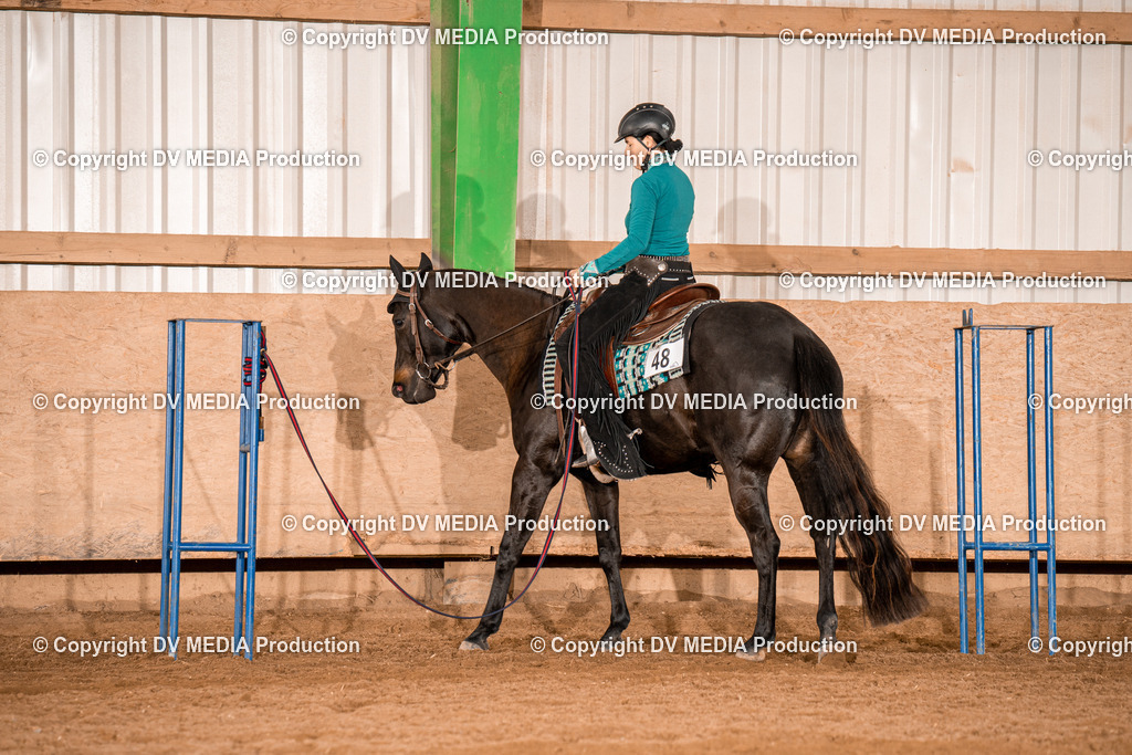 BA300688 | dv-media-shop - Realisiert mit Pictrs.com