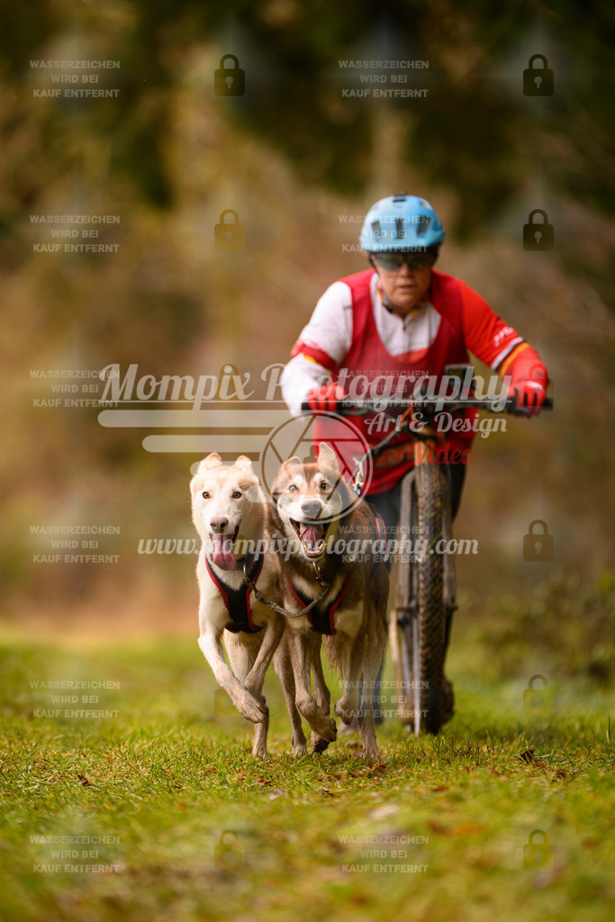MompixPhotography_2SSTSSBW_2025_SO_Scooter-83 | PayLife