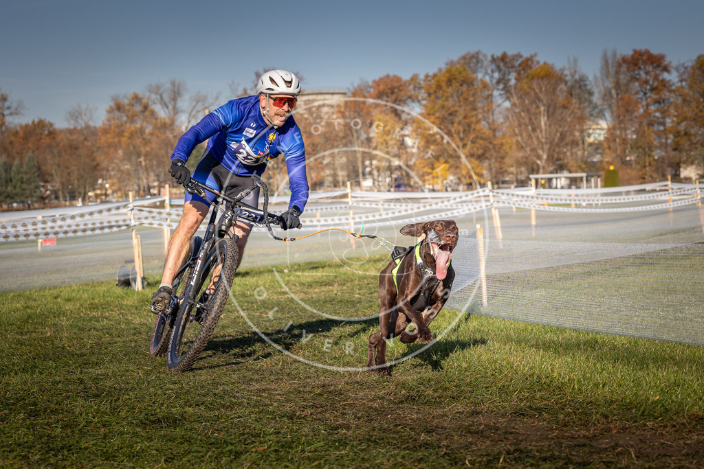 CaniXpix_0L8A4640 | Hundefotografie, Tierfotograf, Pfotenfotografie, Fotoshooting Hund, Hunde Portrait, Hundesport, Hundeportraits, Heideshooting, Hunde, Sportfotograf, Hundefotograf, Turnierhundsport, THS,  - Realisiert mit Pictrs.com