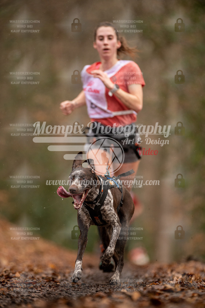 SPA_2023_DIM_CCL-93 | PayLife