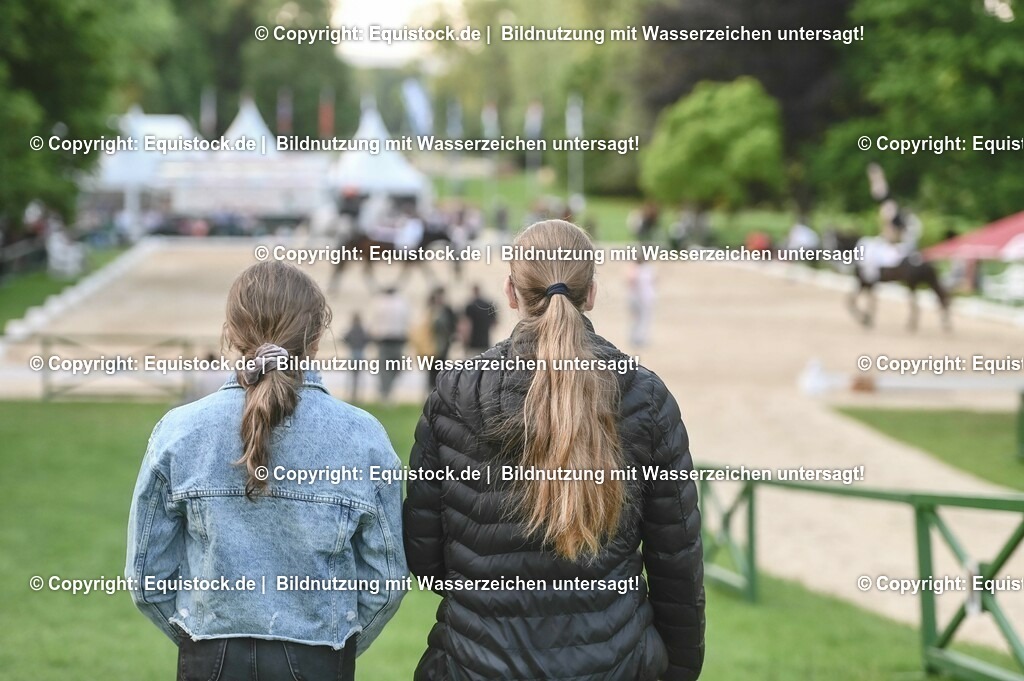 D78_3371 | equistock