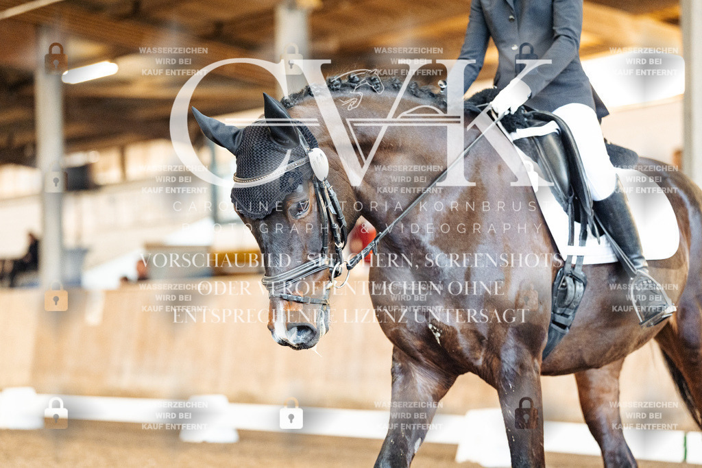 CK909841 | Turnierfotografie Pferdefotografie Trier Rheinland-Pfalz Pferdesport Reitsport Tierfotografie Sportfotografie Pferdevideo Pferdevideografie Equestrianvideography equestrianphotography  - Realisiert mit Pictrs.com