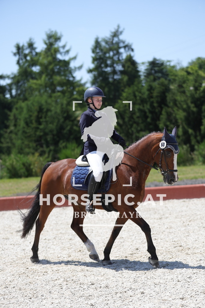 0P6A6338 | Willkommen bei Brunnmayr - Design & Fotografie – Ihrem Spezialisten für Reitturniere und Pferdeveranstaltungen in Oberösterreich, Salzburg und Bayern! Seit über 17 Jahren sind wir leidenschaftlich dabei.