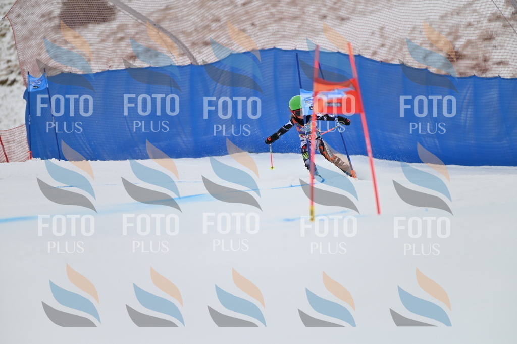 BGV_0495 | holidayphoto